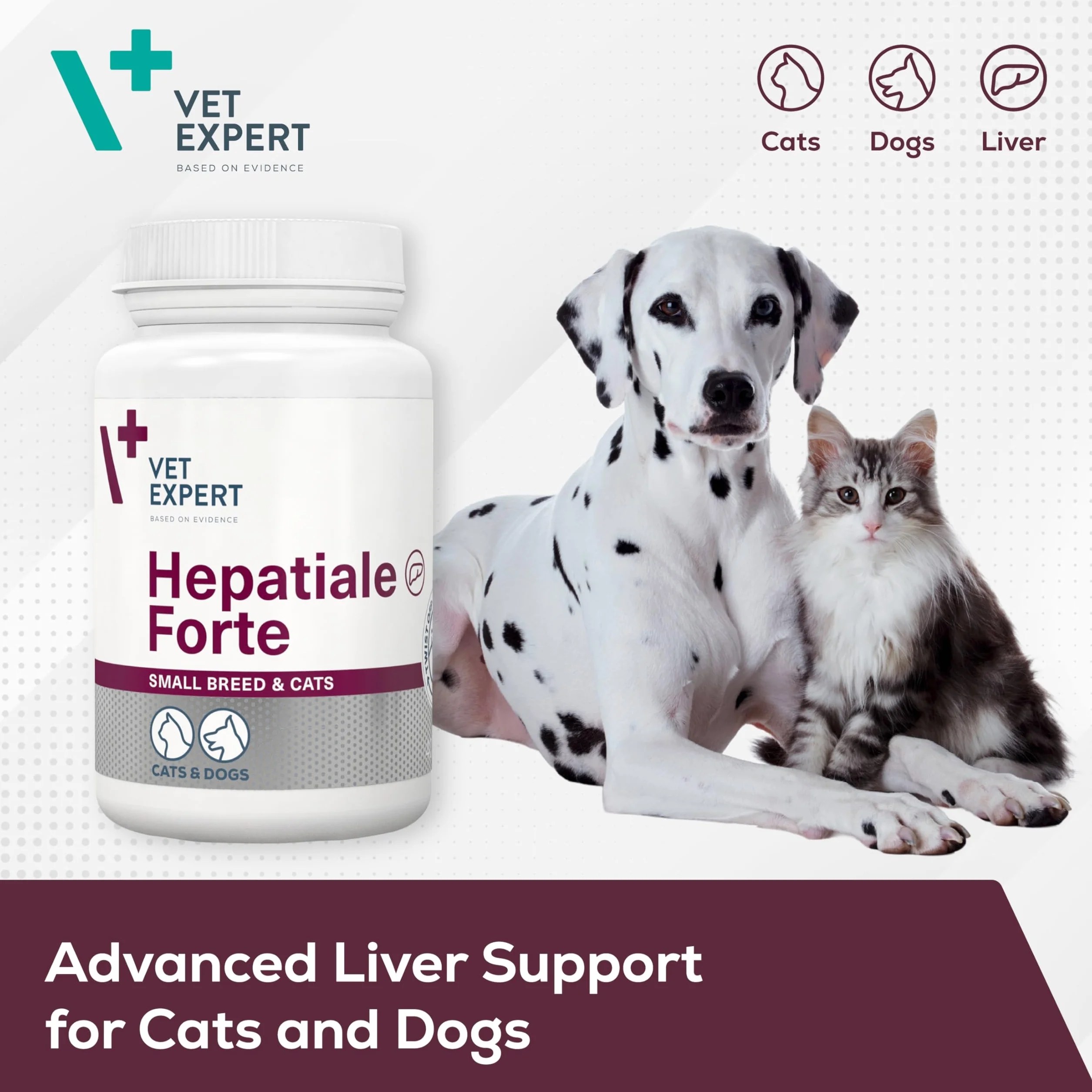 VetExpert Hepatiale Forte Razas Pequeñas y Gatos | 40 Cápsulas | Suplemento Alimenticio para Perros Pequeños y Gatos | para Apoyar la Función Hepática Natural