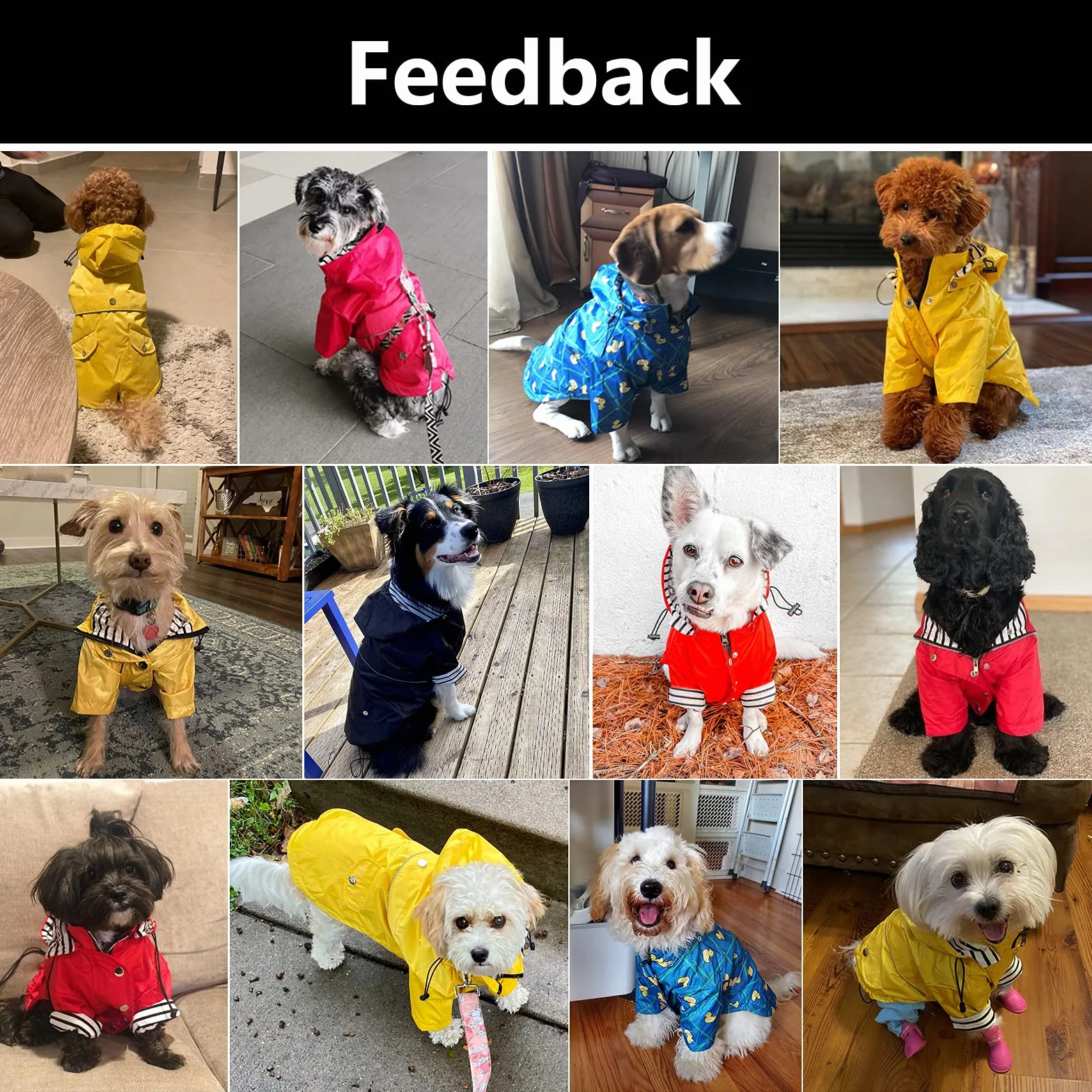 MOREZI Chubasquero para Perros con Cremallera y Botones Reflectantes, Resistente al Viento y a la Lluvia, cordón Ajustable, Capucha Desmontable-Azul Marino-M