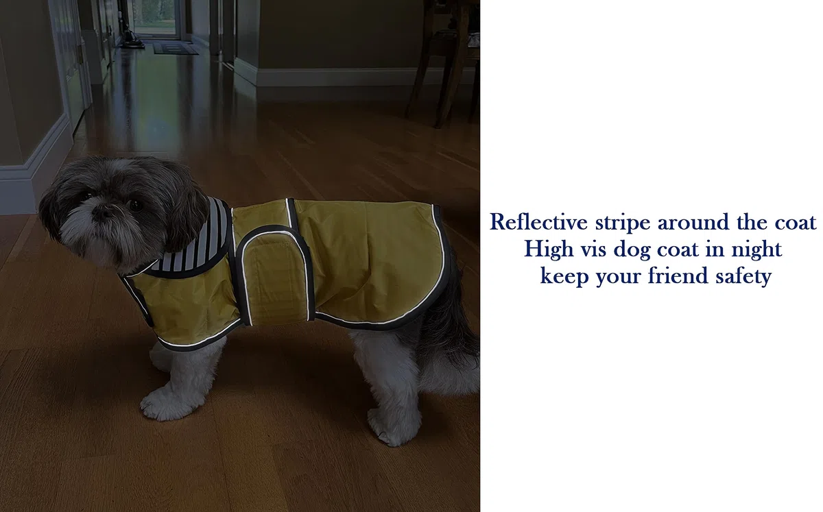 MOREZI Impermeable Elegante para Perros. Impermeable y Resistente a la Lluvia. con Bandas Reflectantes y Correas Ajustables. Adecuado para Perros salchichetes-Amarillo-S