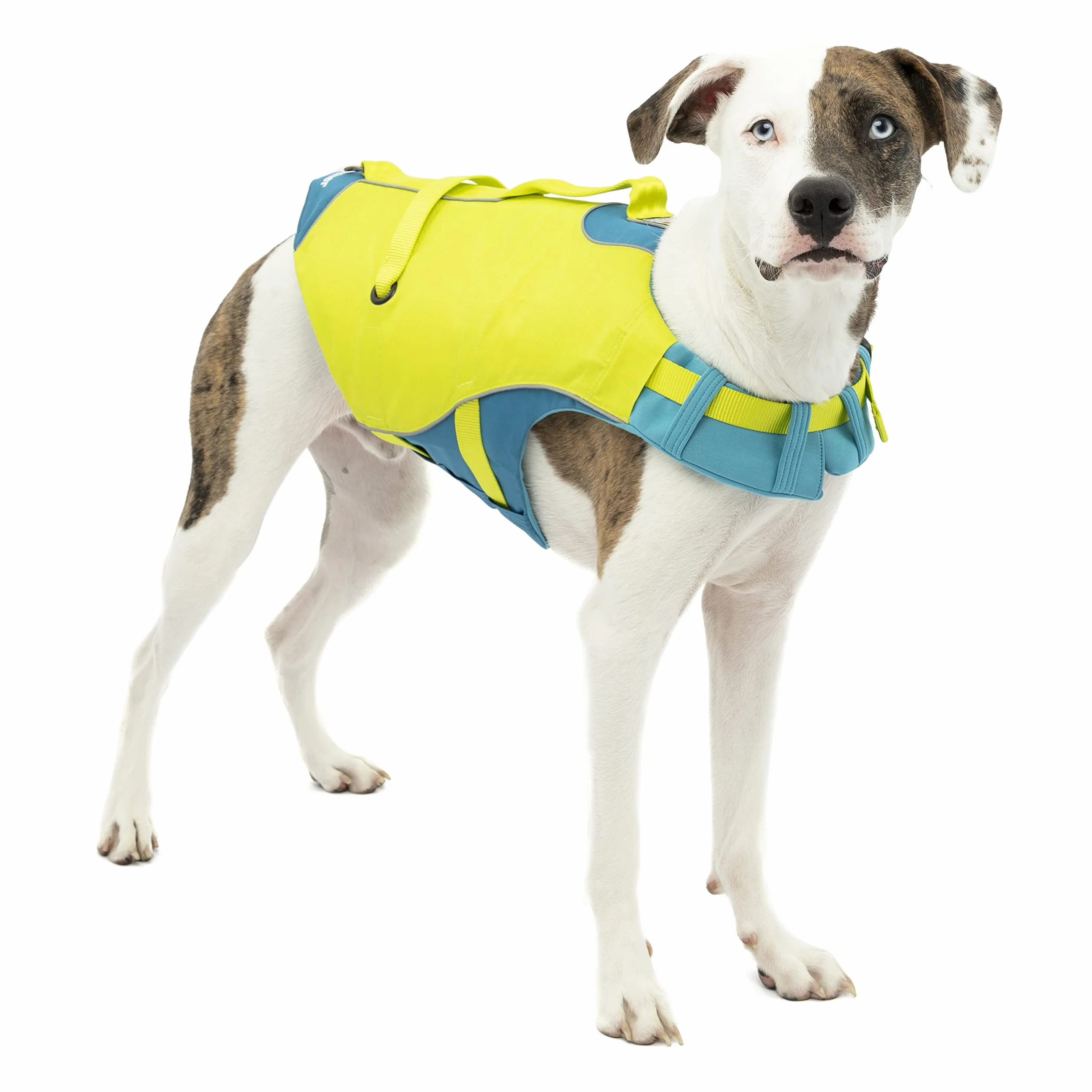 Kurgo Surf n' Turf Chaleco Salvavidas para Perros, Chaleco Salvavidas para Nadar, Chalecos flotantes para Perros, PFD, Reflectante, Ajustable, Azul/Verde, Talla S