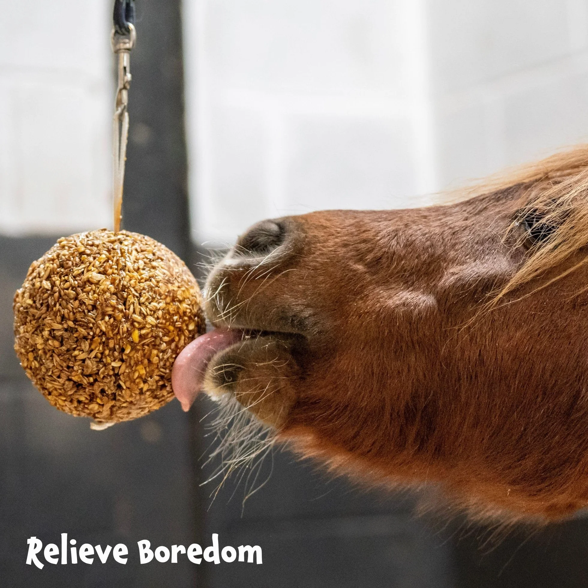 Likit: Juguete para Caballos, Piedra de Fuga con Sabor a Mezcla de Bayas Coloridas, 1.6 Kilogramos