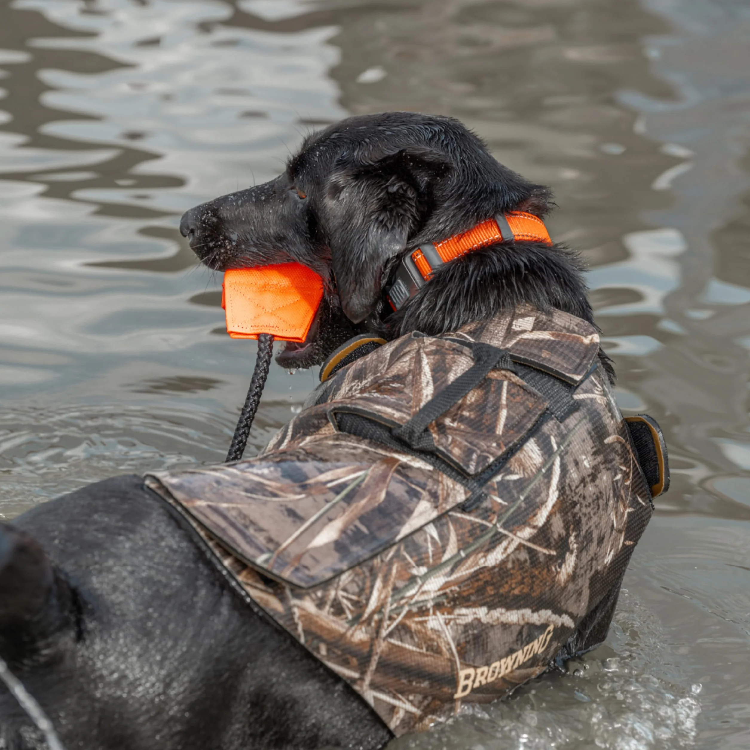Browning Realtree MAX-5 MAX-5 - Chaleco de Neopreno para Perro, Cobertura Completa con Placa Flexible en el Pecho, 5 mm, S, Realtree MAX-5 (5 mm), S