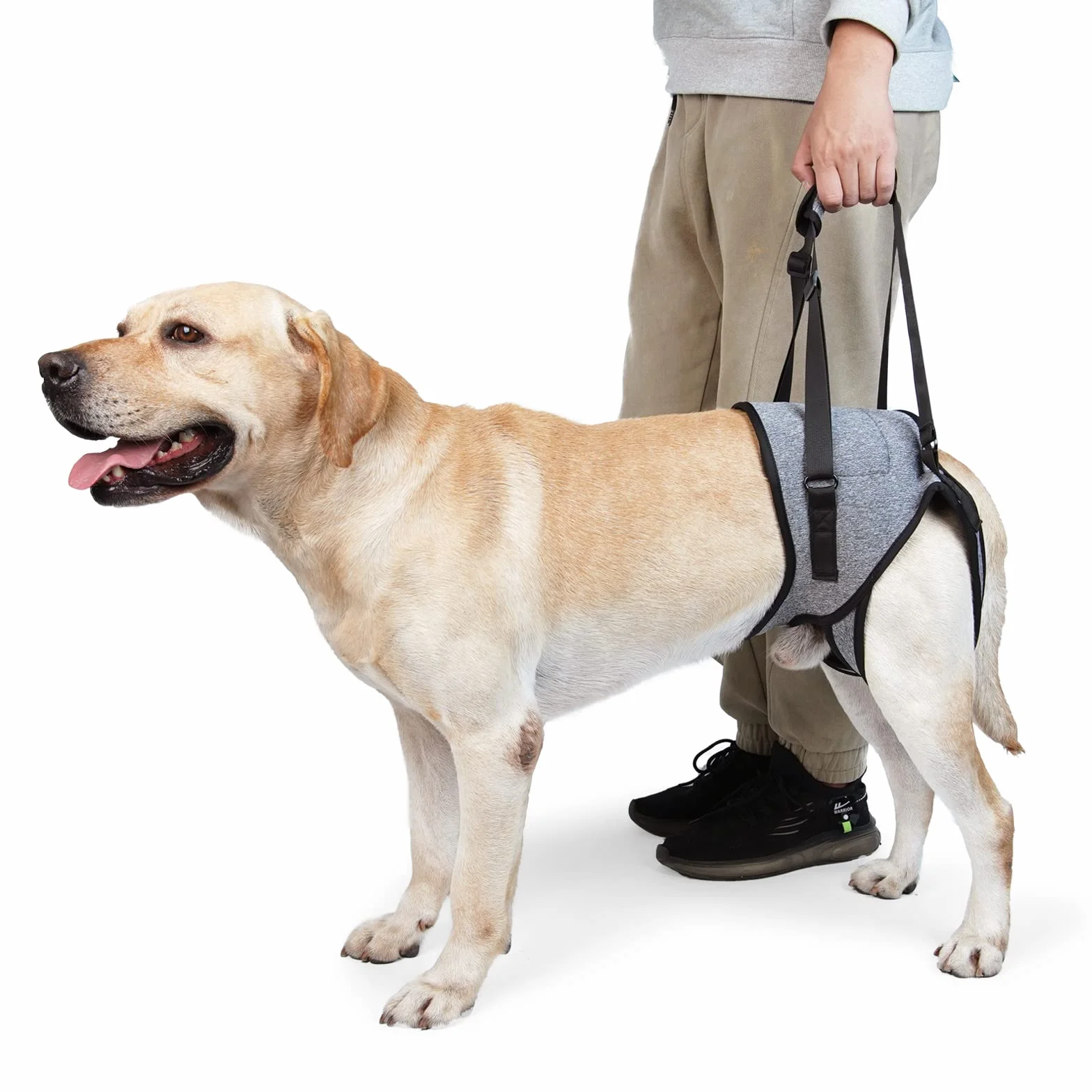 Dotoner Arnés de Levantamiento de Perros, arnés de Apoyo para Patas traseras, Correa de Apoyo Suave para Perros lesionados discapacitados, pequeños, medianos y Grandes