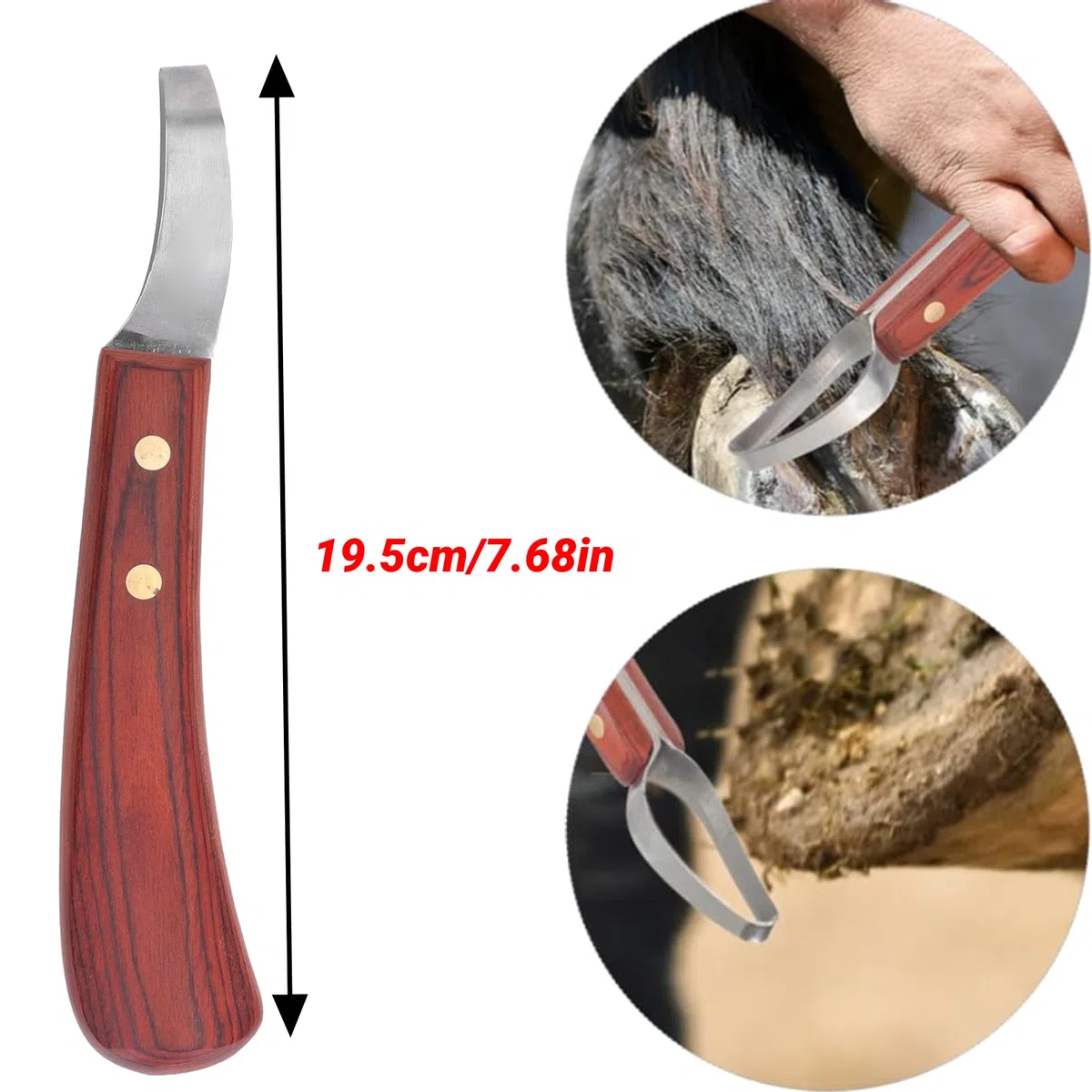 Recortadora de Cascos para Vaca Hoja Acero Inoxidable Mango Ergonómico Madera Caucho Herramienta Profesional Multifuncional