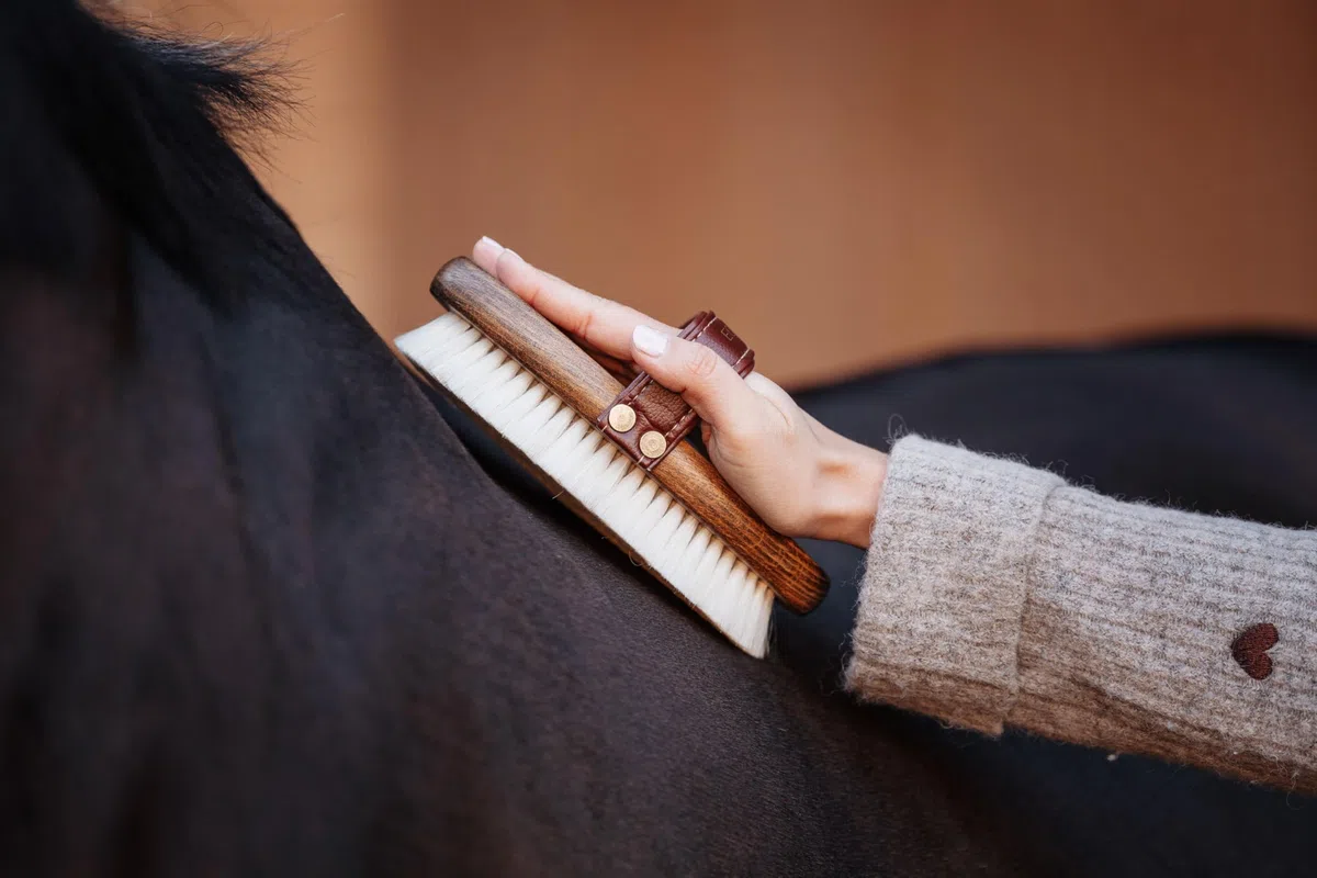 Cepillo de brillo – 100 % pelo de cabra | Cepillo para caballos con mango de madera y correa de cuero vegano | Cuidado suave del pelaje con acabado brillante y antielectrostático
