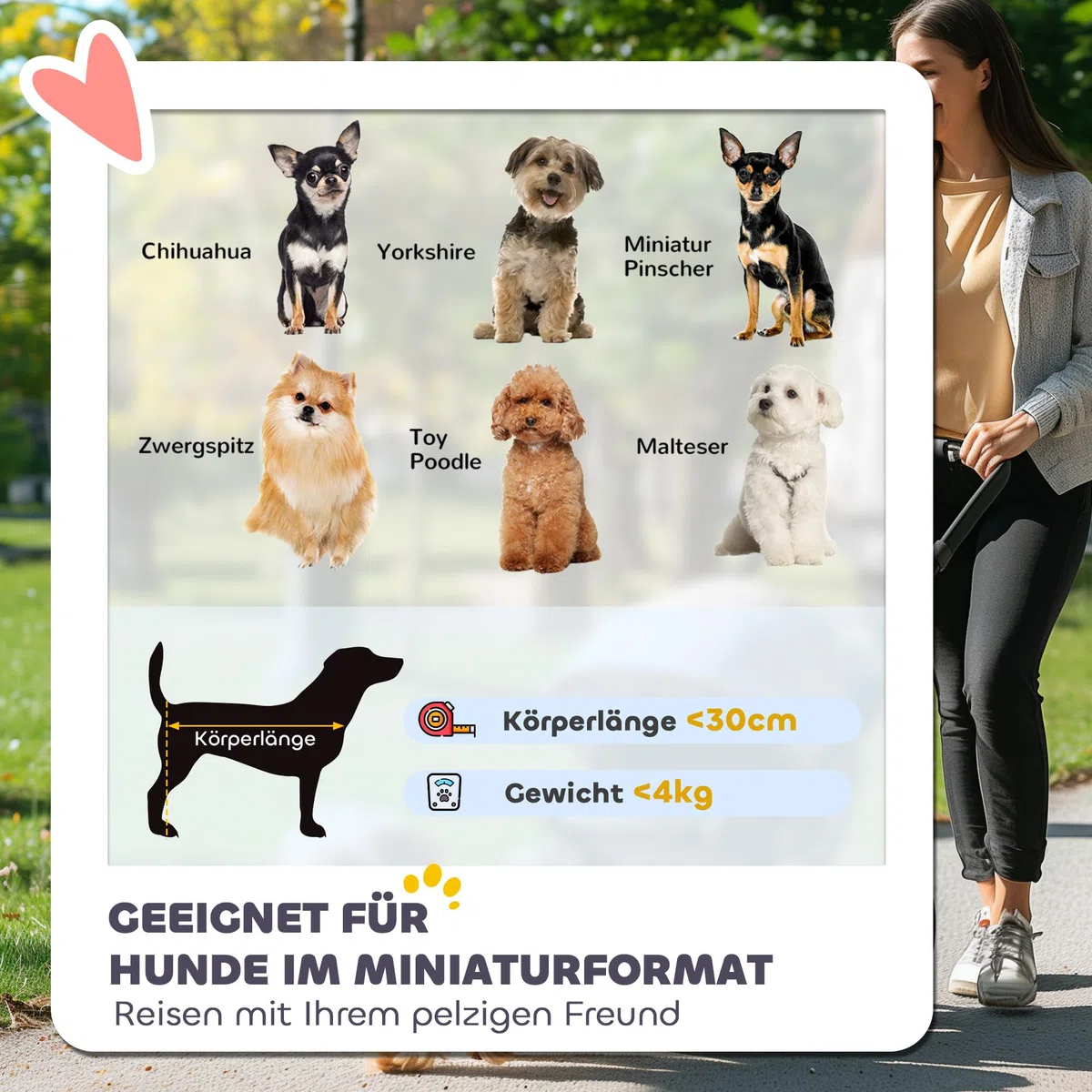 PawHut silla plegable para perros y gatos de hasta 4 kg con ventanas de malla, correa para el hombro, bolsa de almacenamiento y portavasos