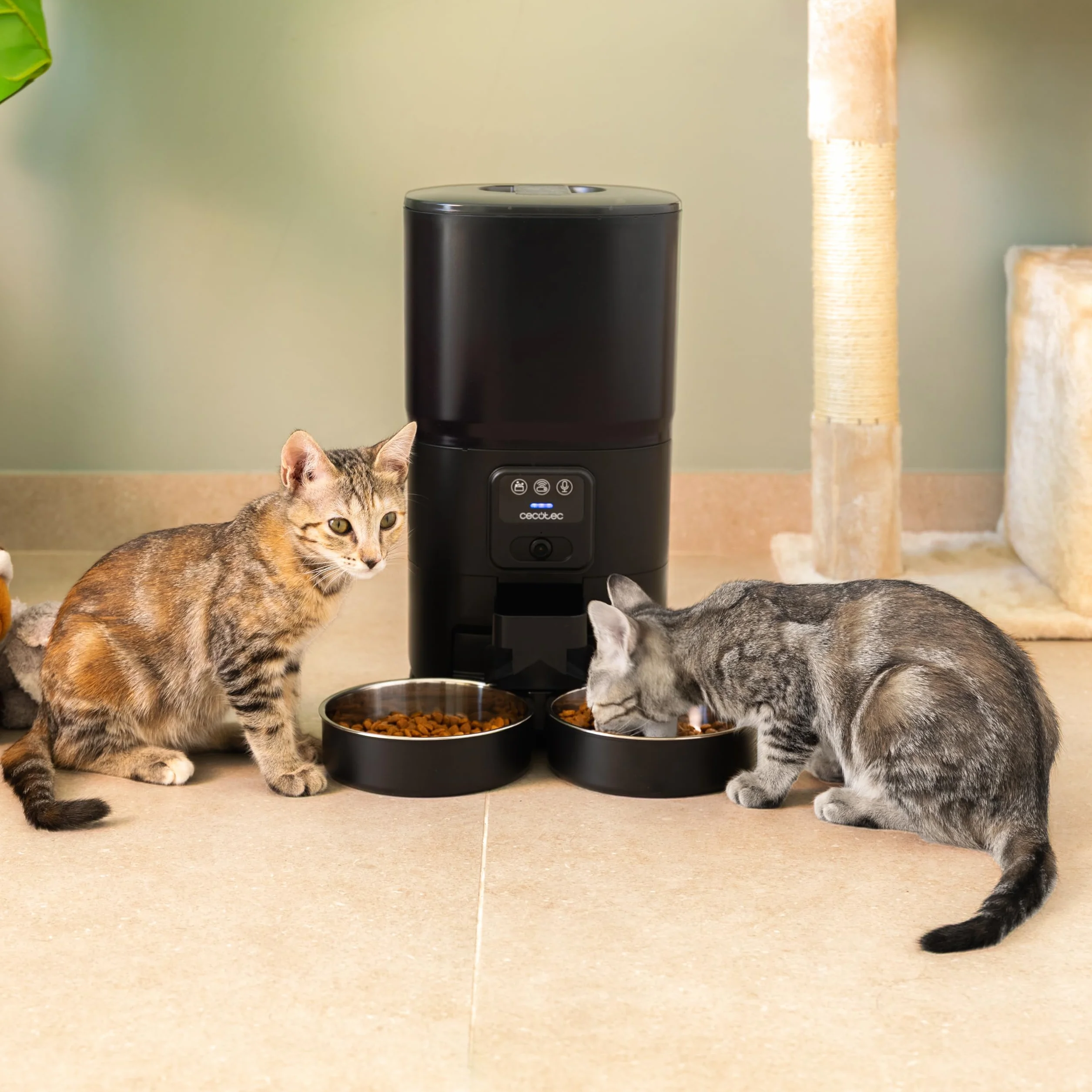 Cecotec Comedero Dispensador Automático para Mascotas con Control WiFi, Cámara y Grabadora de Voz Pumba 8600 Double Meal Vision. 7L, Programable, Control de Porciones, Doble Bowl de Acero INOX, App