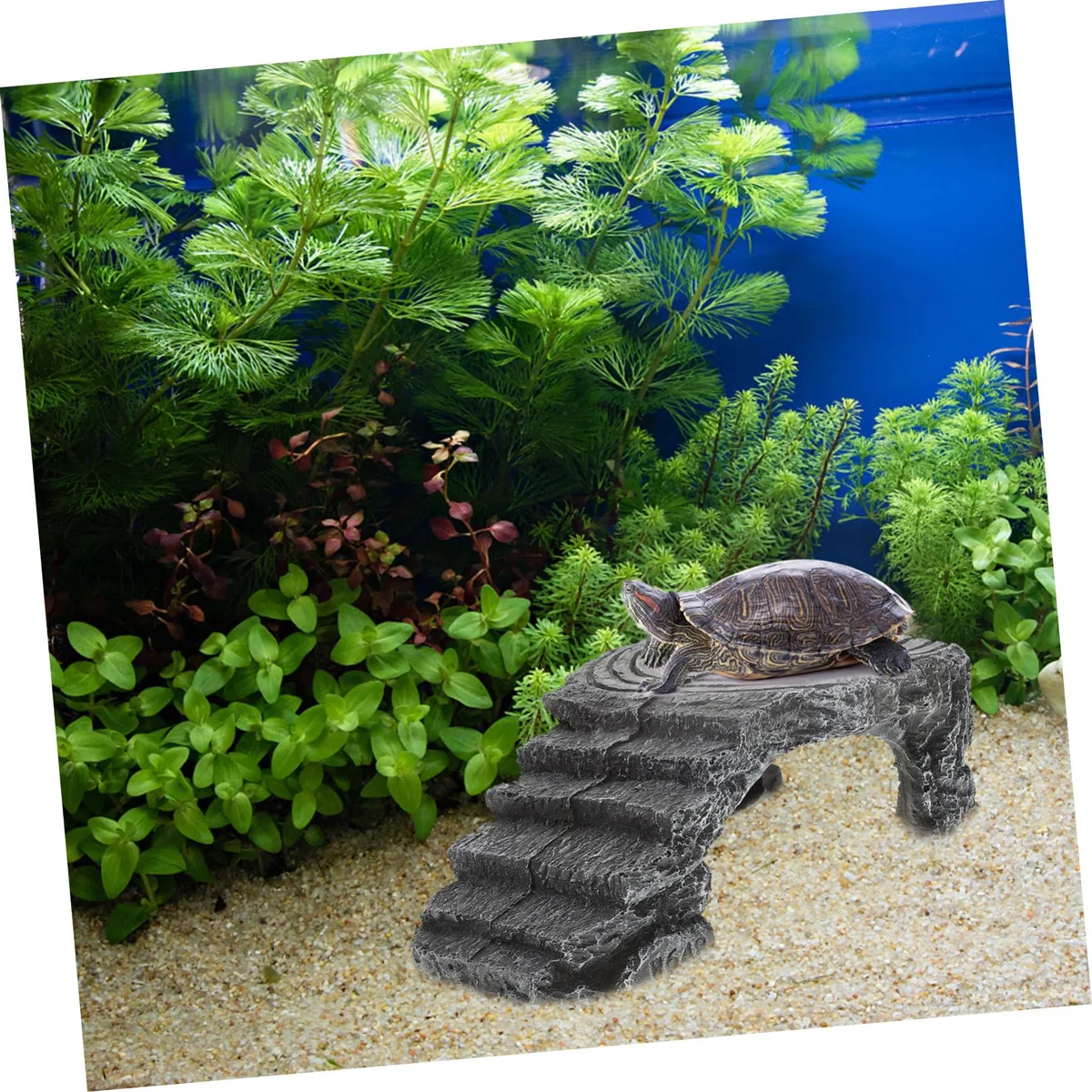 Plataforma De Reptiles para Tomar El Sol para Tortugas Rampa Integrada, Resina Resistente, Tamaño Mediano, para Acuario y Terrario, Adecuado para Tortugas Acuáticas y Reptiles Domésticos