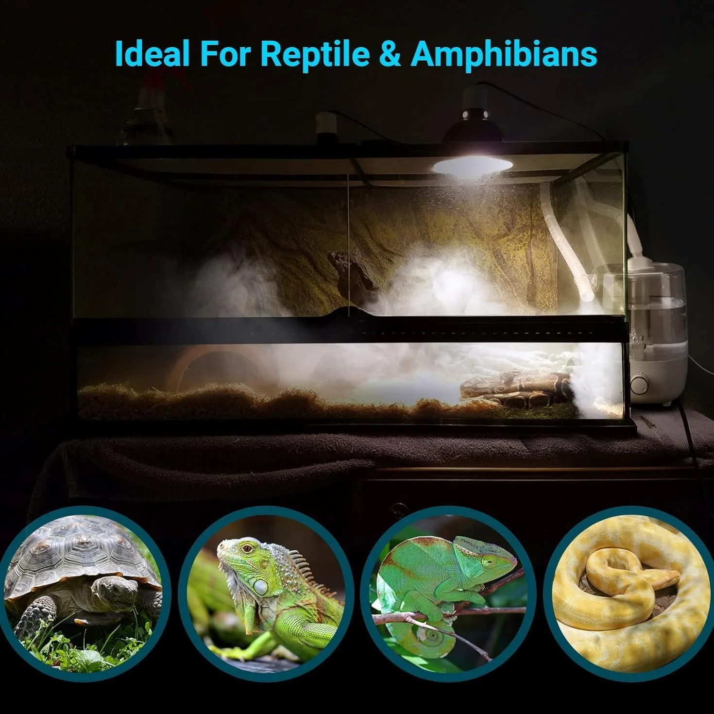 INKBIRDPLUS Humidificador para Reptiles, Nebulizador para Aumentar la Humedad, Humidificador Silencioso para Anfibios de Reptiles, Plantas Húmedas con 4L Gran Capacidad