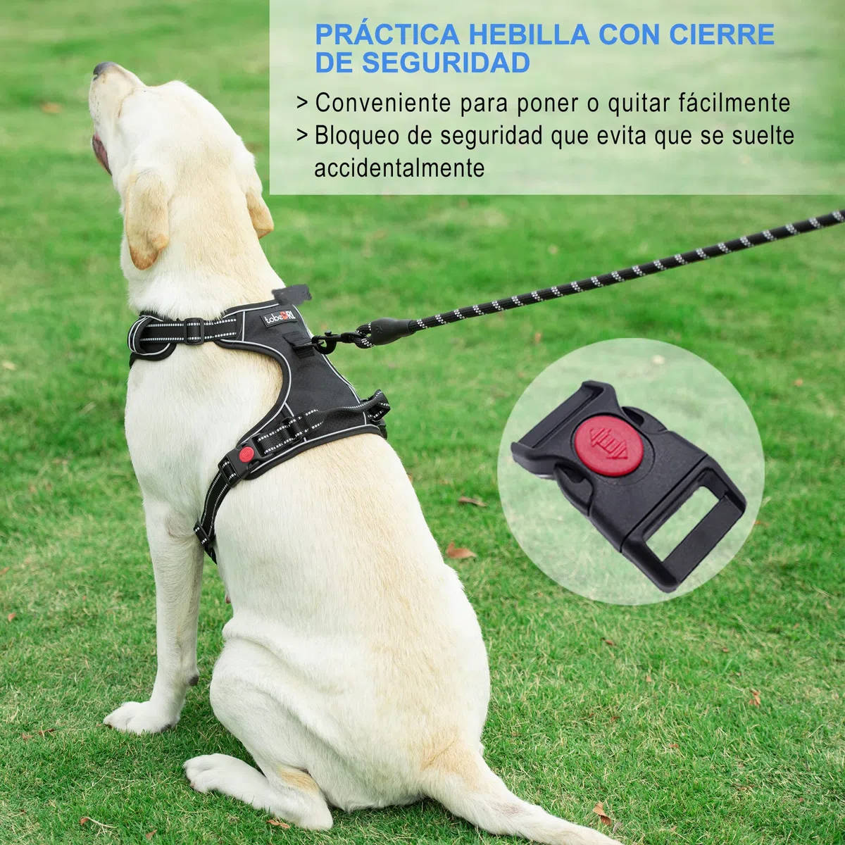 haapaw Arnés para Perro sin Tirar, Ajustable, Reflectante Oxford, fácil de controlar, Mediano y Grande, con una Correa para Perro Resistente