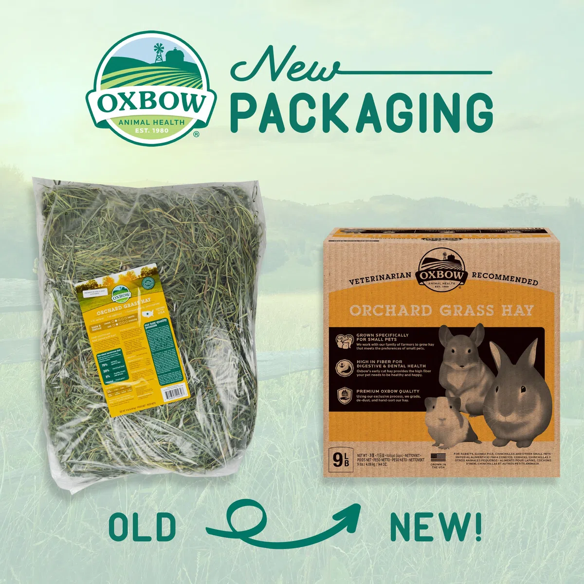 Orchard Grass Petlife Oxbow - Heno para mascotas pequeñas, 4,05 kg
