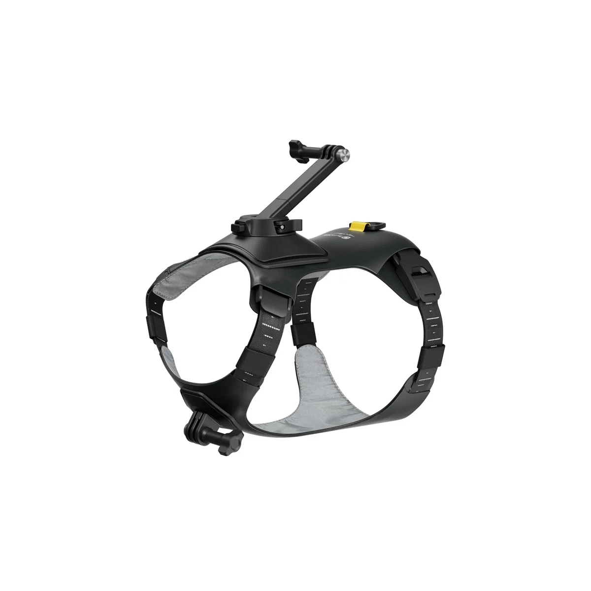 Insta360 GO 3/GO 3S - Soporte de arnés para mascotas, talla M (GO Ultra)