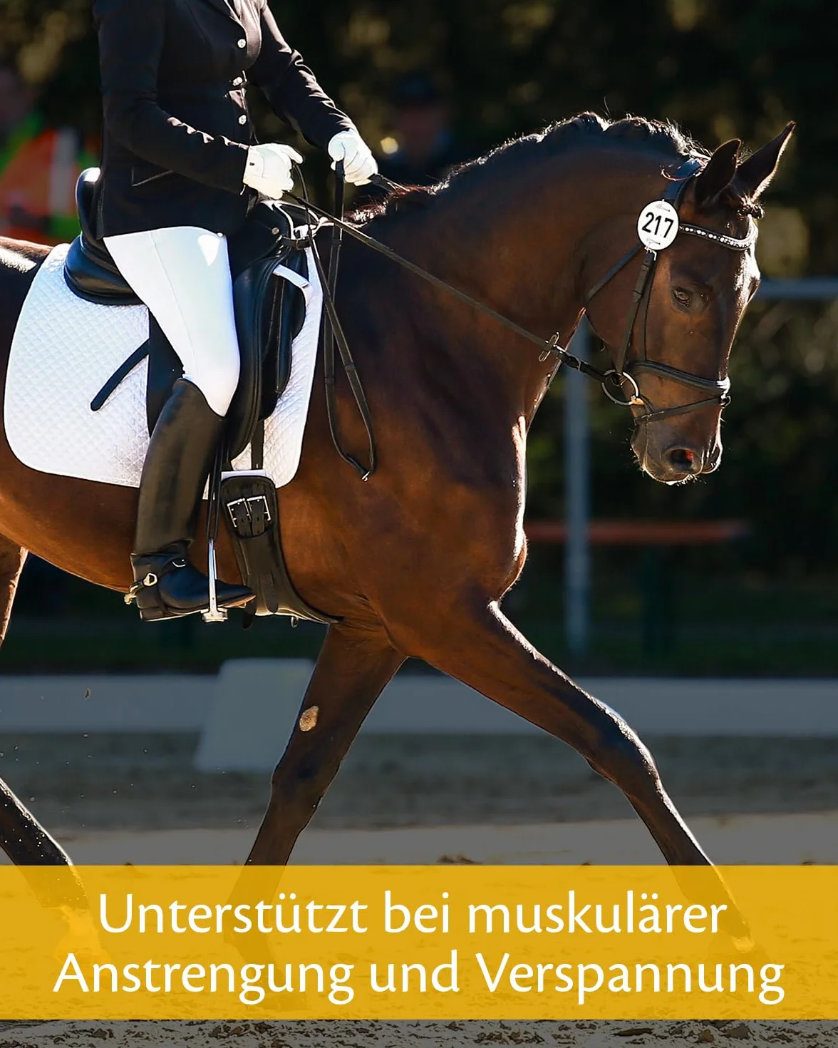 EQUISTRO Excell E | Complemento alimenticio para caballos | Apoyo de la función muscular | Ayuda a aliviar el sobreesfuerzo muscular y la tensión | 3 kg