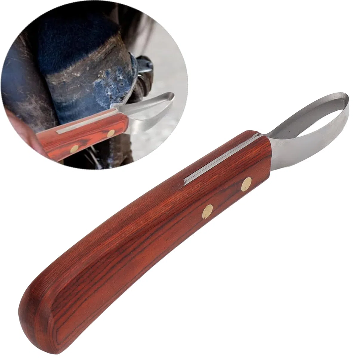 Recortadora de Cascos para Vaca Hoja Acero Inoxidable Mango Ergonómico Madera Caucho Herramienta Profesional Multifuncional