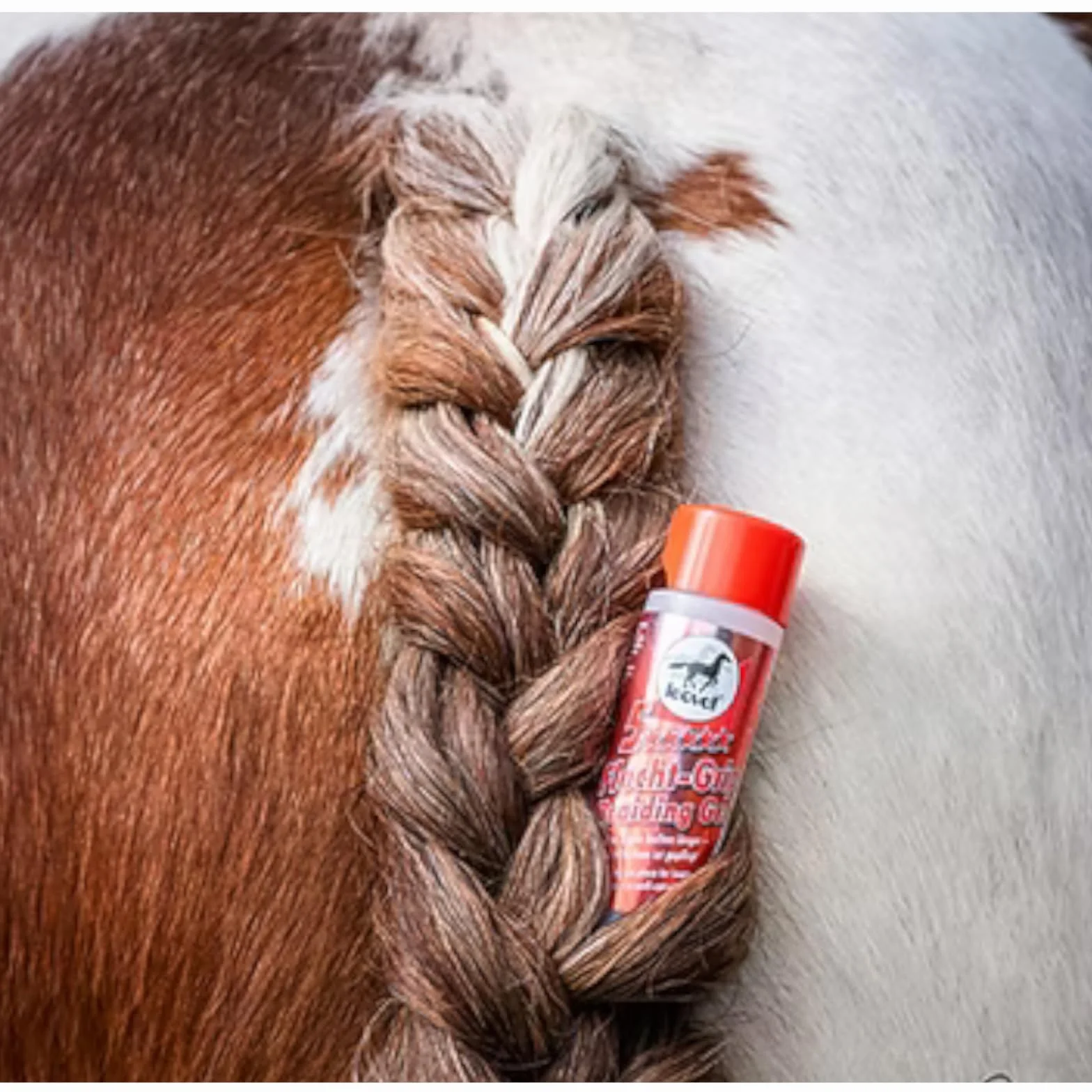 Leovet 5-Stne Flecht Grip 200 ml