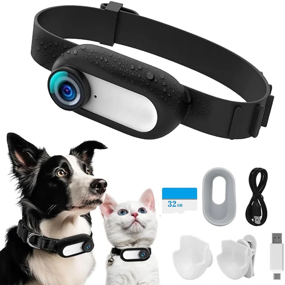 Collar para Cámara de Gato Con Tarjeta SD 32GB, HD 1080P, Mini Cámara Inalámbrica de Acción para Mascota, Al Aire Libre