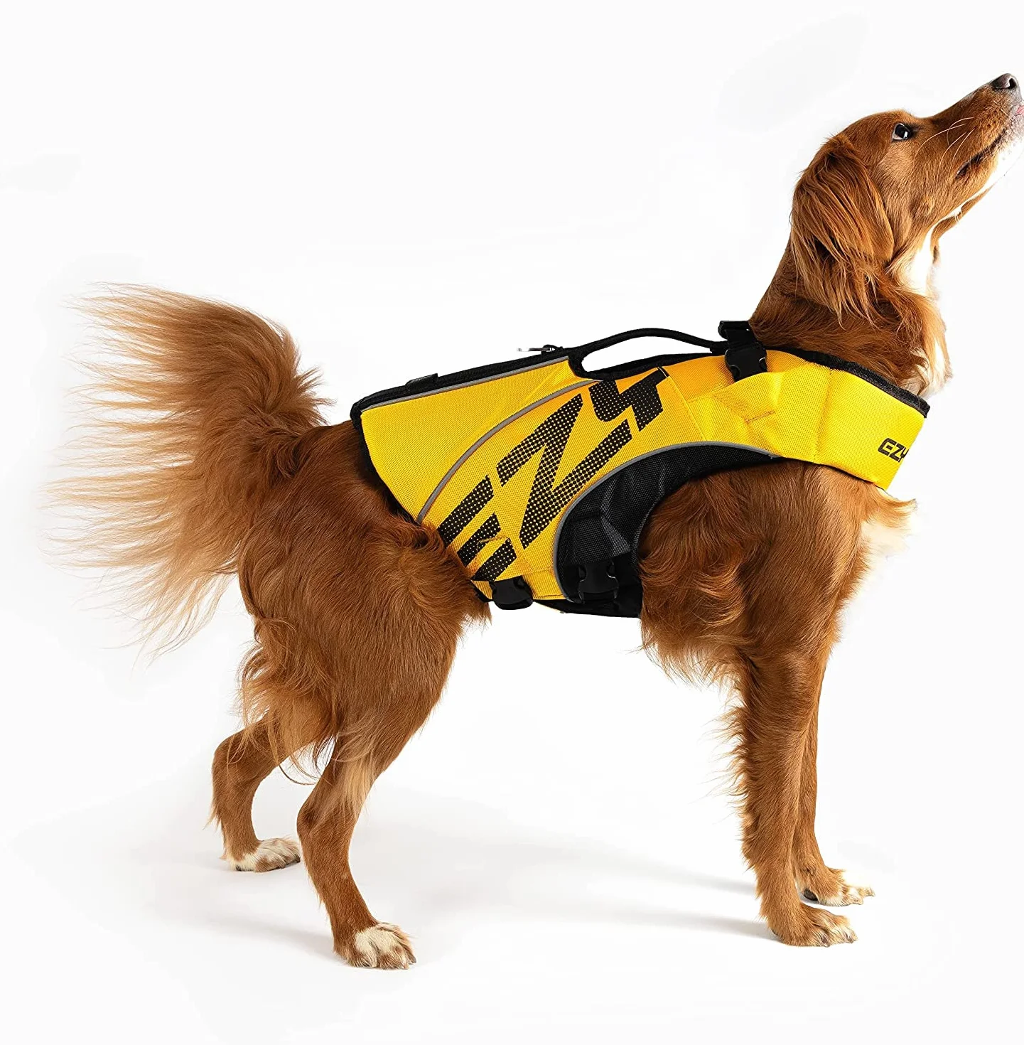EzyDog Chaleco Salvavidas para Perros - DFD X2 Boost - Alta Flotabilidad, Diseño Aerodinámico, Asa de Rescate, Reflectante, Ideal para Natación (XS, Amarillo)