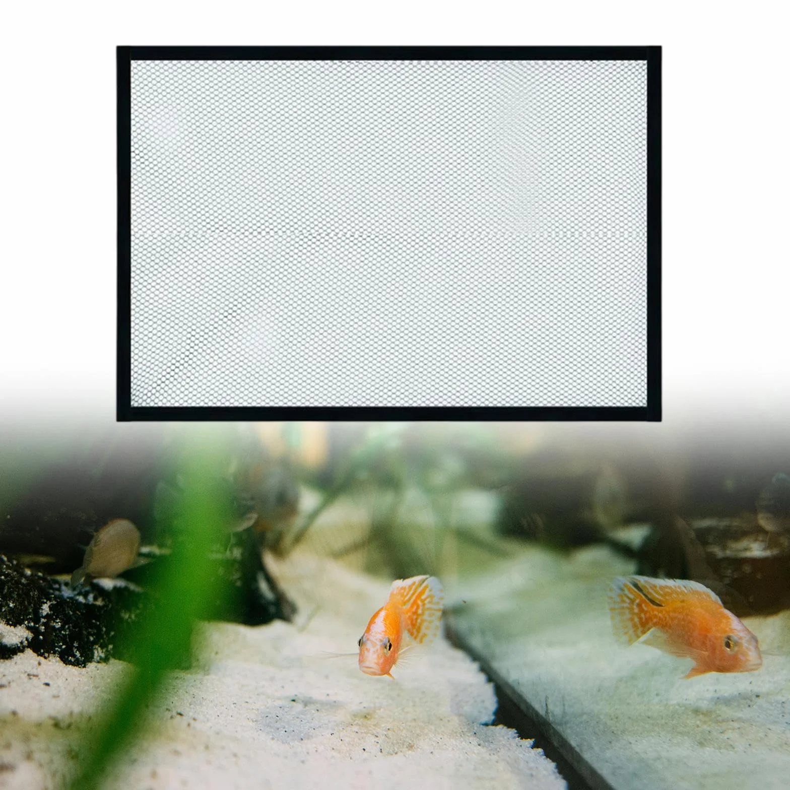 Tapa para Acuario con Malla Transparente