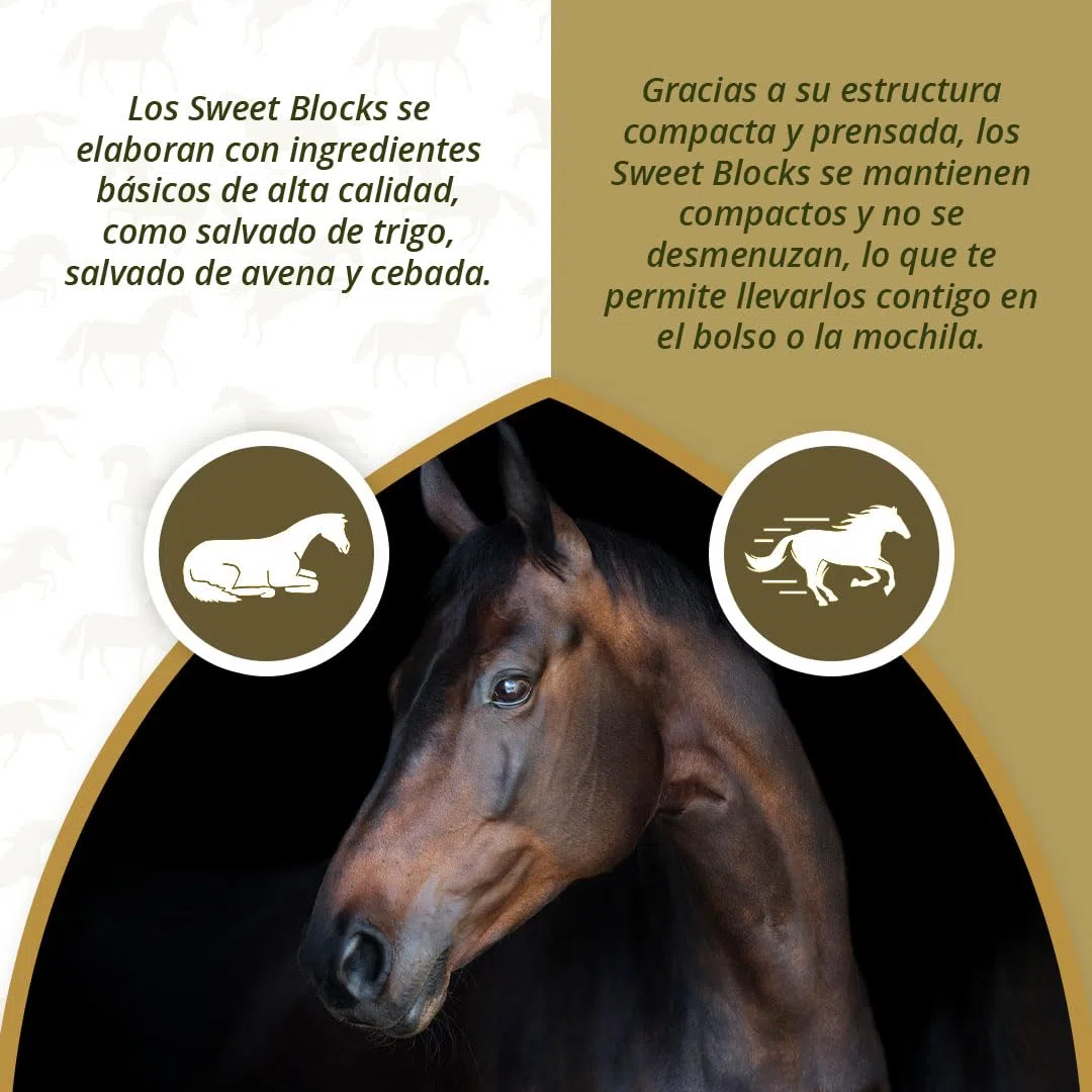 Excellent Horse Sweet Eucalypta Blocks – Caramelos de caballo – Sin azúcar – Caballos – Sabor de eucalipto – Trozos – Recompensa – 1 kg