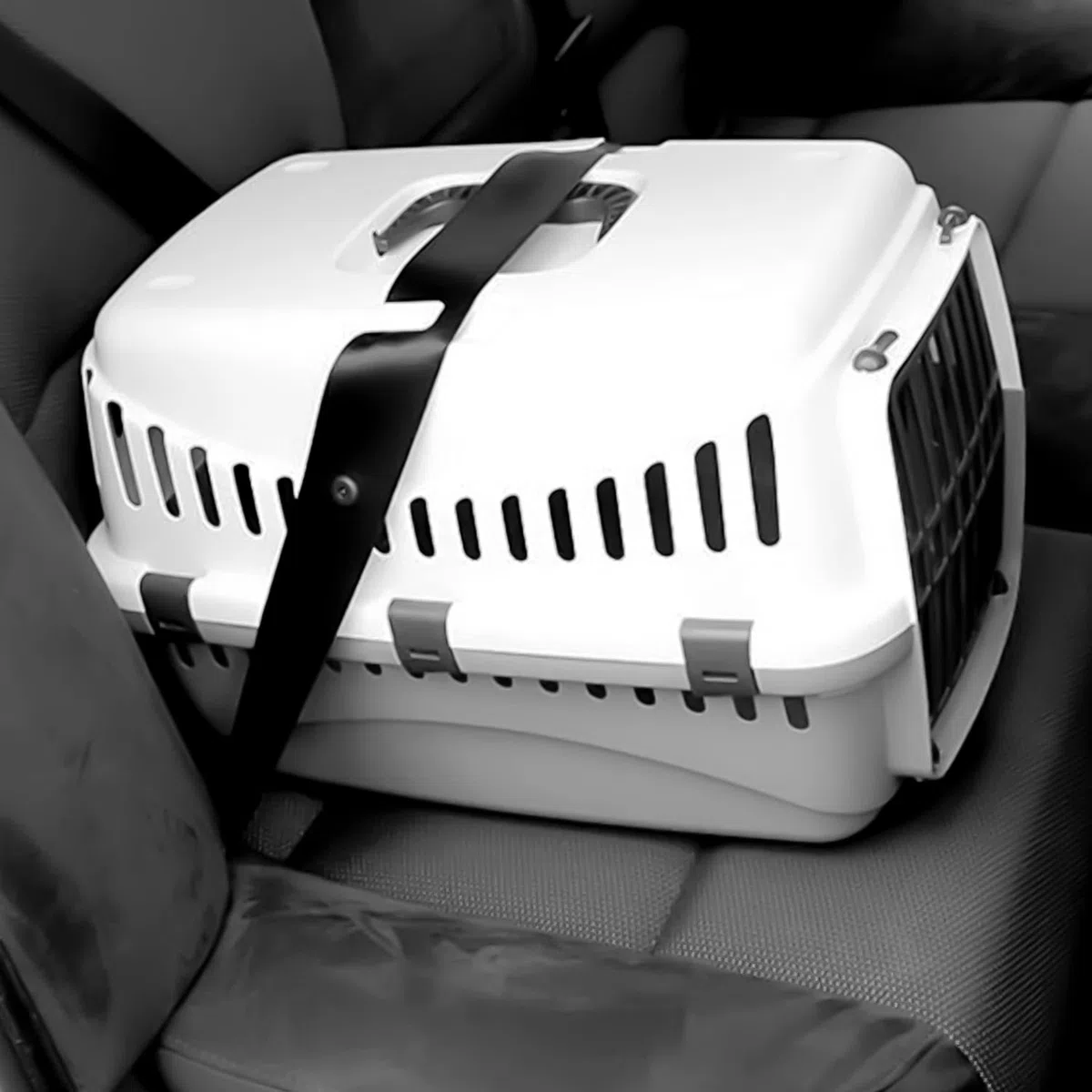 TIENDA EURASIA - Transportín Rígido Con Puerta Frontal y Asa de Transporte Para Gatos, Perros, Conejos - Desmontable Con Enganches Para Coche (M)