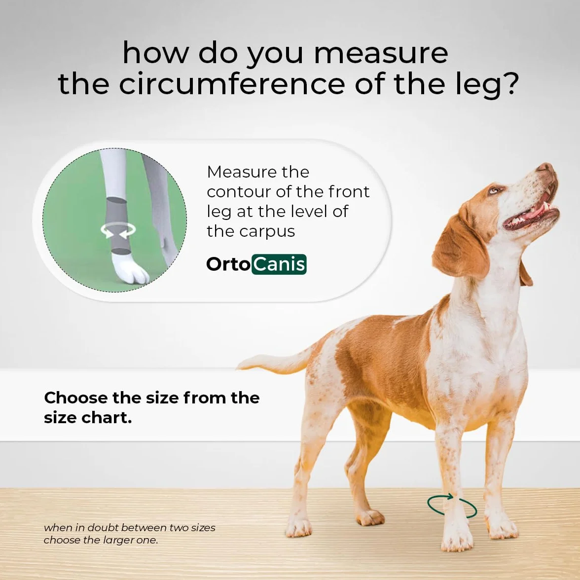 Ortocanis - Muñequera - Protector de Patas para Perro - Artrosis, Lesiones en Ligamentos, Tendones o Perros de Agility - Fabricado en Neopreno ARD - Talla M 14-16 cm