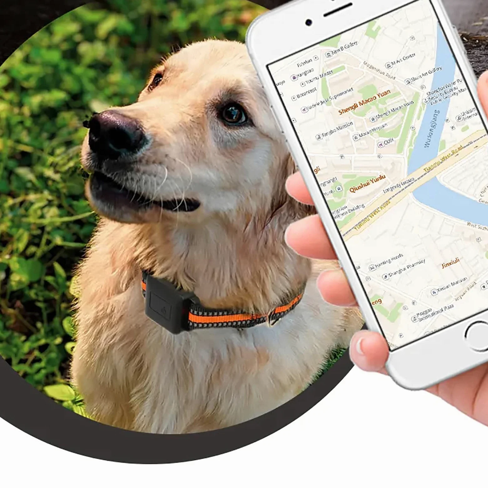 Collar GPS para perros con valla inalámbrica para perros, sistema de contención eléctrica portátil para perros, gatos, monitor de actividad, impermeable y recargable