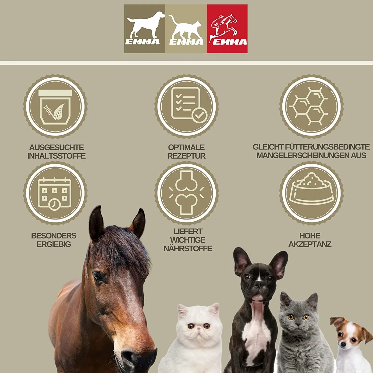 Caballo de refuerzo para el estómago, probióticos, levadura de cerveza, vitamina E, caballo, cultivos de levadura, microflora intestinal, tracto gastrointestinal, pasta de vitaminas I después de