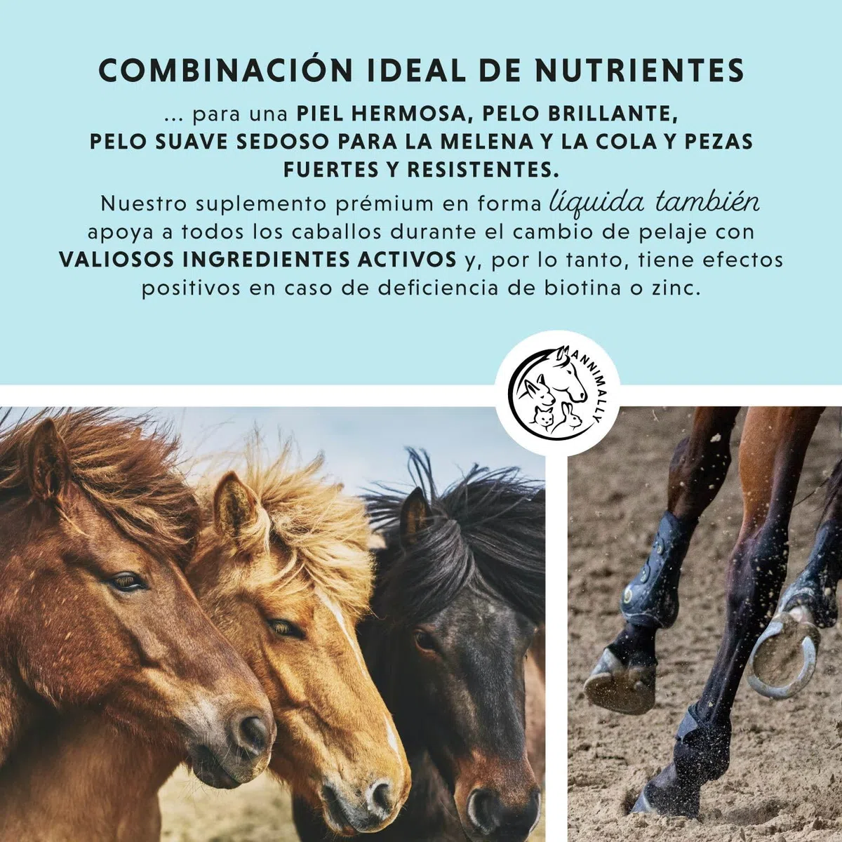 Caballo Biotina Zinc Líquido 1000 ml - Cuidado para la Piel, el Pelaje y los Cascos de los Caballos - Biotina, Zinc y MSM líquidos para un Pelaje Saludable - Cuidado del Pelaje y de los Cascos