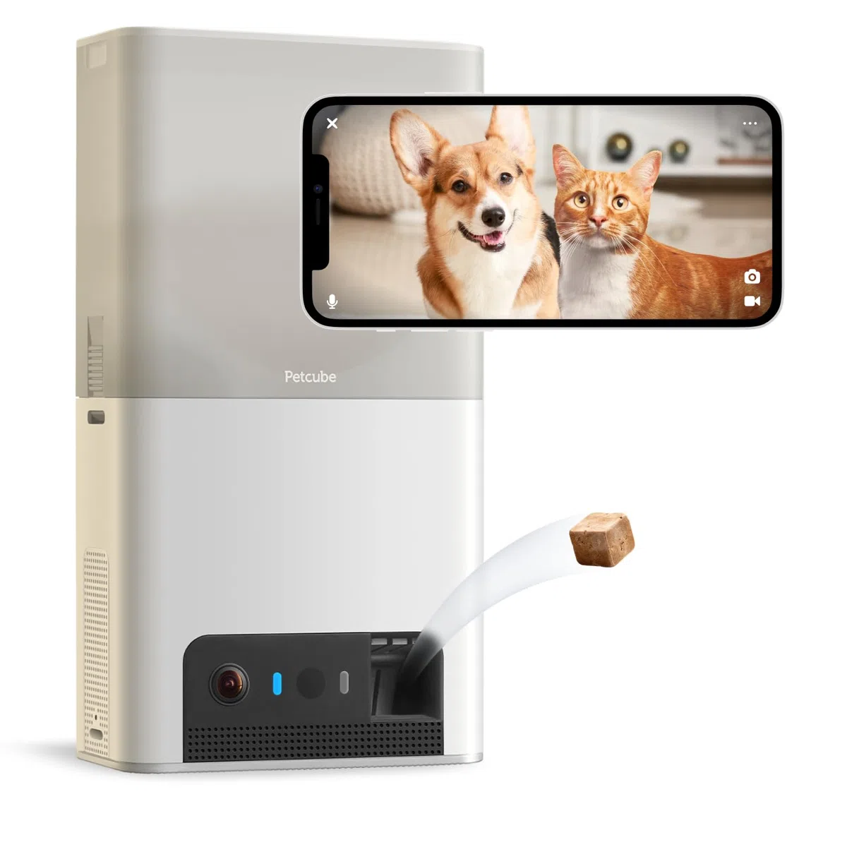 Petcube Bites 2 Lite | Cámara para Mascotas con App, Dispensador de Premios, Vídeo HD 1080p, Visión Nocturna, Audio Bidireccional