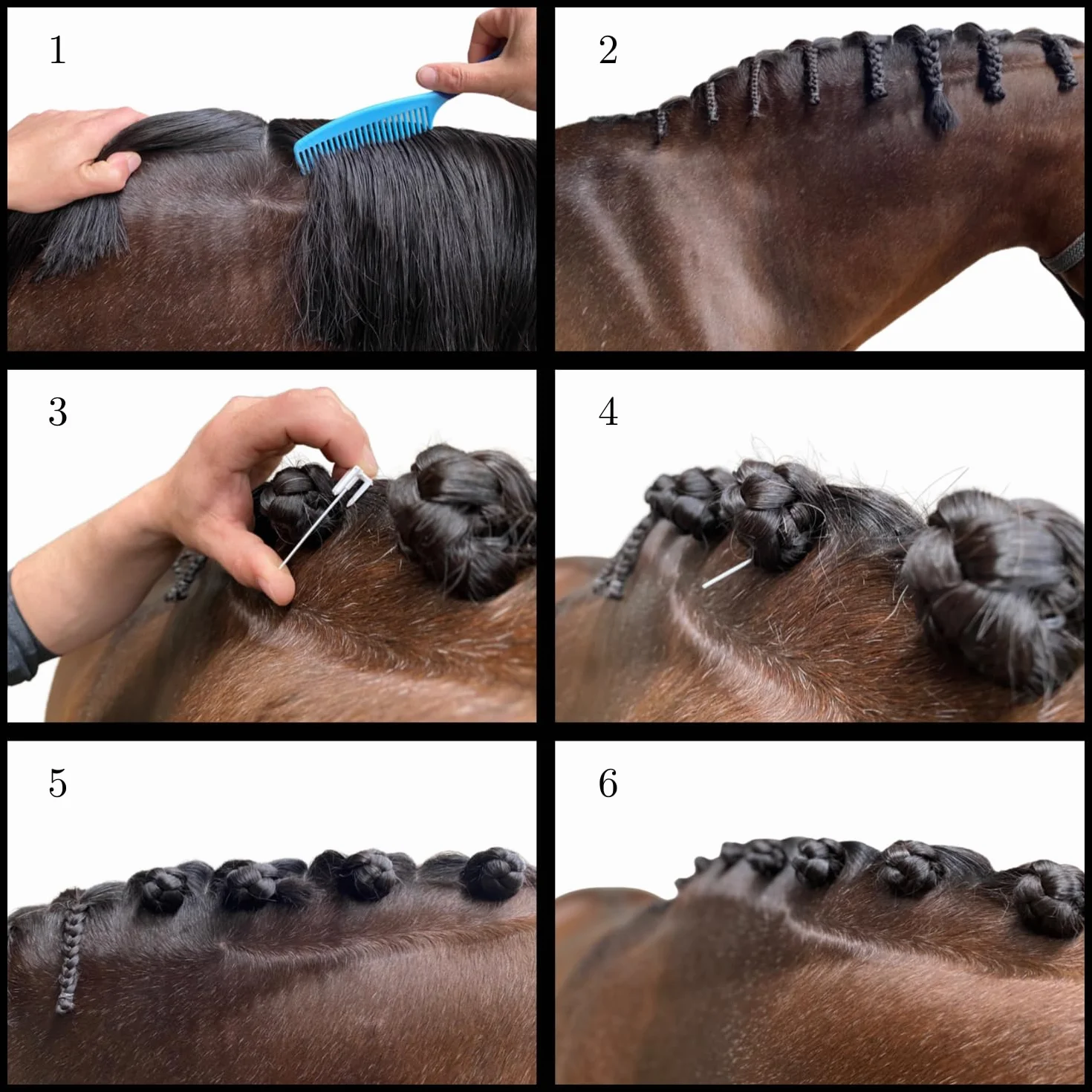 Deluxe | Pinza para ratoneras para caballos | Adecuado para caballos y ponis | Reutilizable (Negro, XL)