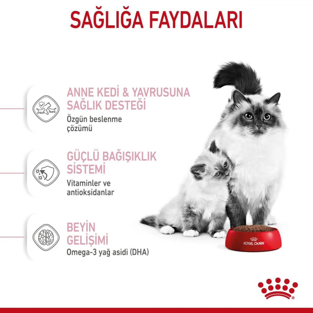 Royal Canin Comida para gatos Babycat 2 Kg