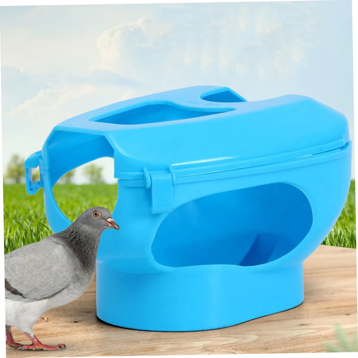 BESPORTBLE Fijadores para Palomas 6piezas Soporte Fijo de PP para Inyección y Alimentación Anillo para Patas, Práctico para Observación y Manejo Cómodo