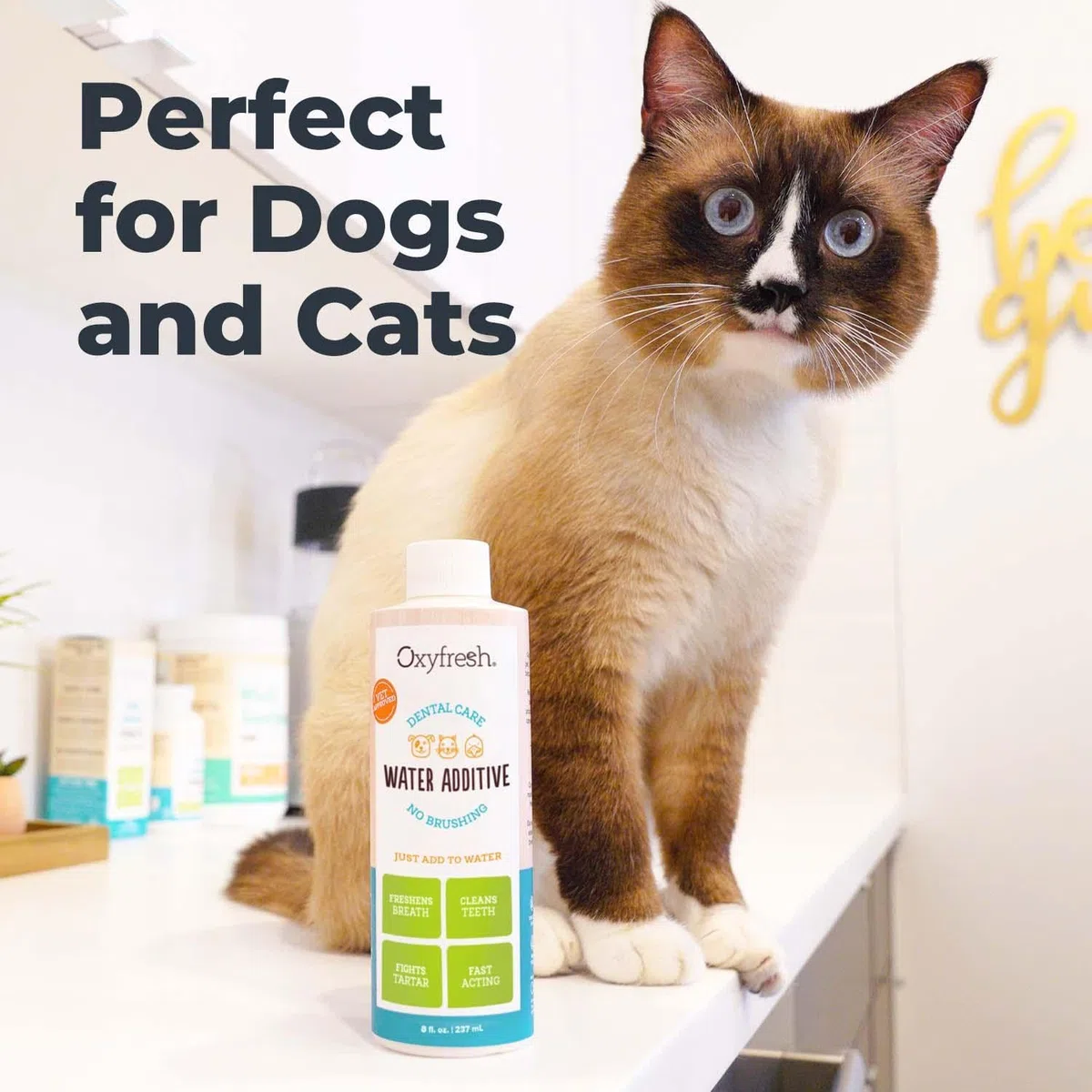Oxyfresh Aditivo para el cuidado dental para mascotas: la mejor manera de eliminar el mal aliento y el aliento de gato, combatir el sarro y la placa, simplemente agregue al agua, recomendado por