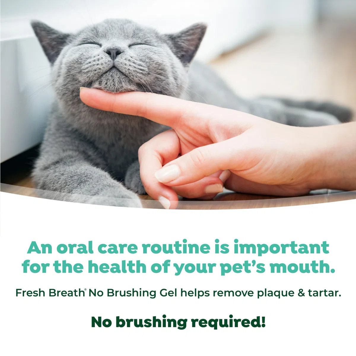 Tropiclean Fresh Breath by Gel de Cuidado Bucal para Gatos - Sin Cepillado - Ayuda a Eliminar la Placa y el Sarro - Original - 59 ml