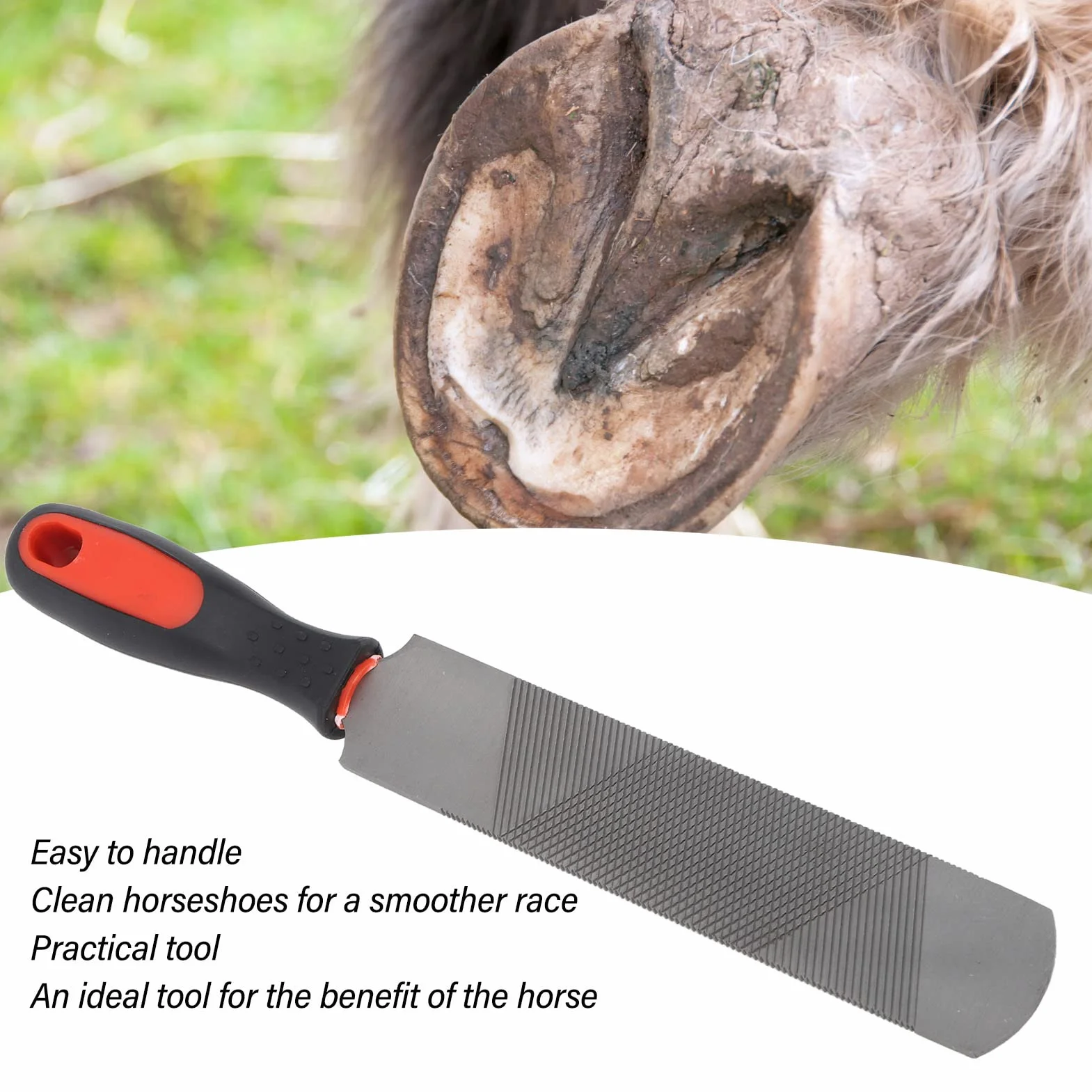 Herramienta Recortar Pezu?as 8 Pulgadas Acero Alcarbon Lima Herradura Ergonomica Profesional para Caballo Herrador