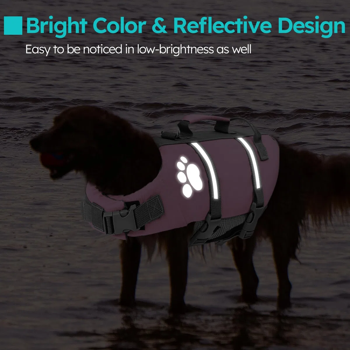 Queenmore Chaleco Salvavidas Perro XS, Ligero, Flotador Perro con Asa De Rescate, para Perros Pequeños, Piscina Piscina Nadar, Kayak, Paddleboarding, Rosa, XS