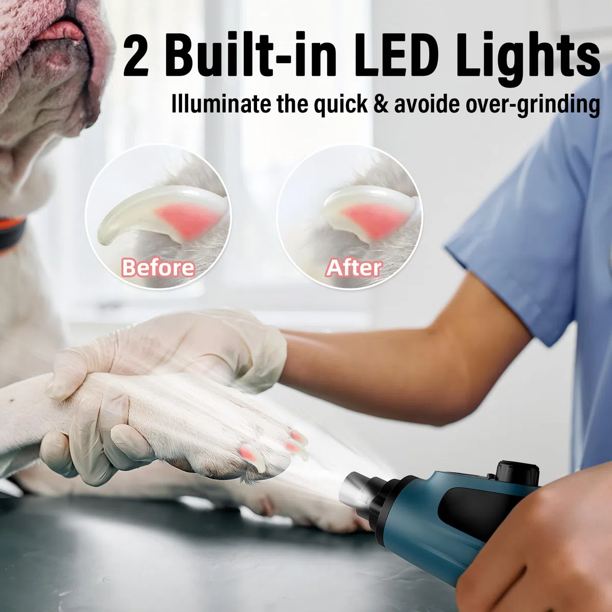 Casfuy - Molinillo de uñas Inteligente de 6 velocidades para Perros, 50% más de Potencia con 2 Luces LED silenciosas y Recargables para Perros y Gatos de tamaño pequeño, Mediano y Grande