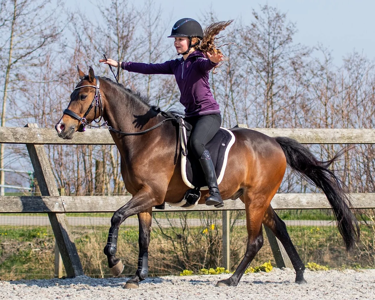 QHP Estera de equitación