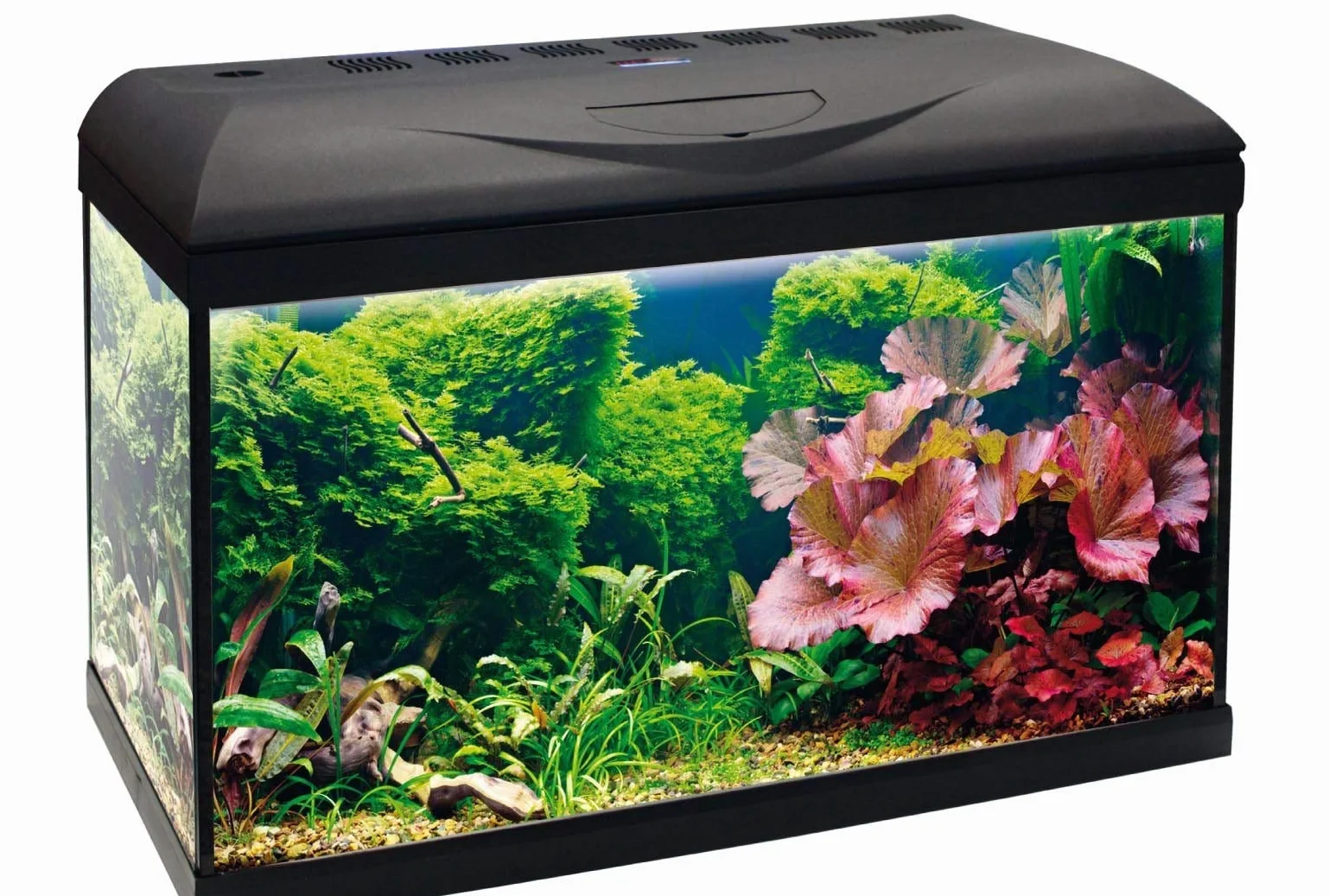 Amtra Wave Basic 60 Led - Acuario Completo De 65 Litros, Iluminación De 8 Watios, Filtro Interno Y Calentador, 60X32X42 Cm