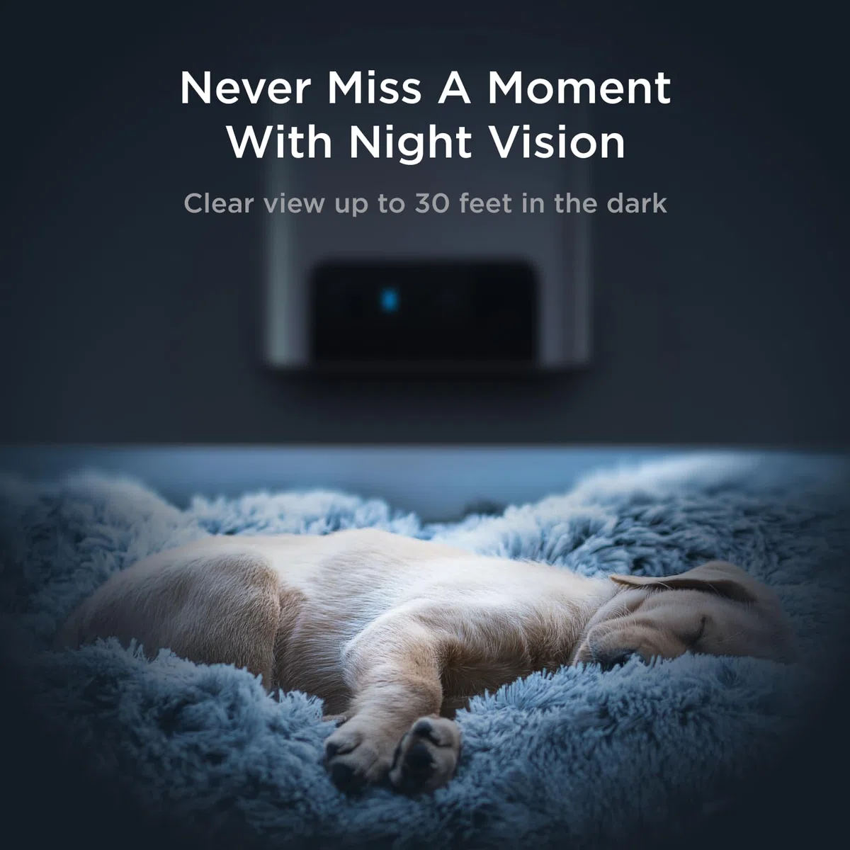 Petcube Bites 2 Lite | Cámara para Mascotas con App, Dispensador de Premios, Vídeo HD 1080p, Visión Nocturna, Audio Bidireccional