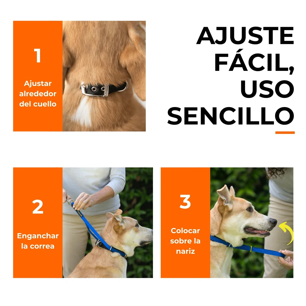 Canny Collar – Collar Antitirones de Cabeza para Perros Que Tiran | Arnés de Entrenamiento Suave y Seguro | Paseos Tranquilos sin Tirones – Azul, Talla 5