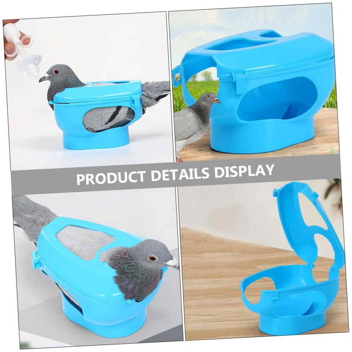BESPORTBLE Fijadores para Palomas 6piezas Soporte Fijo de PP para Inyección y Alimentación Anillo para Patas, Práctico para Observación y Manejo Cómodo