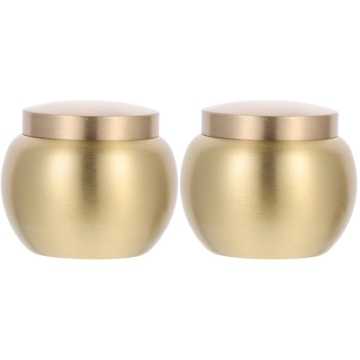 Abaodam 2 Uds Urna Pequeña para Cenizas Humanas - Mini Urna Decorativas Contenedor De Acero Inoxidable para Ceniza De Gato Memoria Duradera