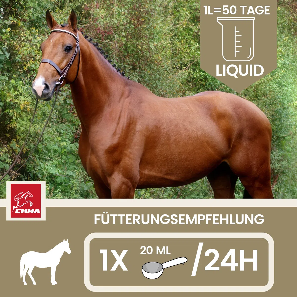 Líquido de Refuerzo Muscular para Caballos con Aceite de Germen de arroz Vitamina E Caballo Aceite de linaza I alimento reconstituyente I vitaminas alimento suplementario para el Refuerzo Muscular 1L