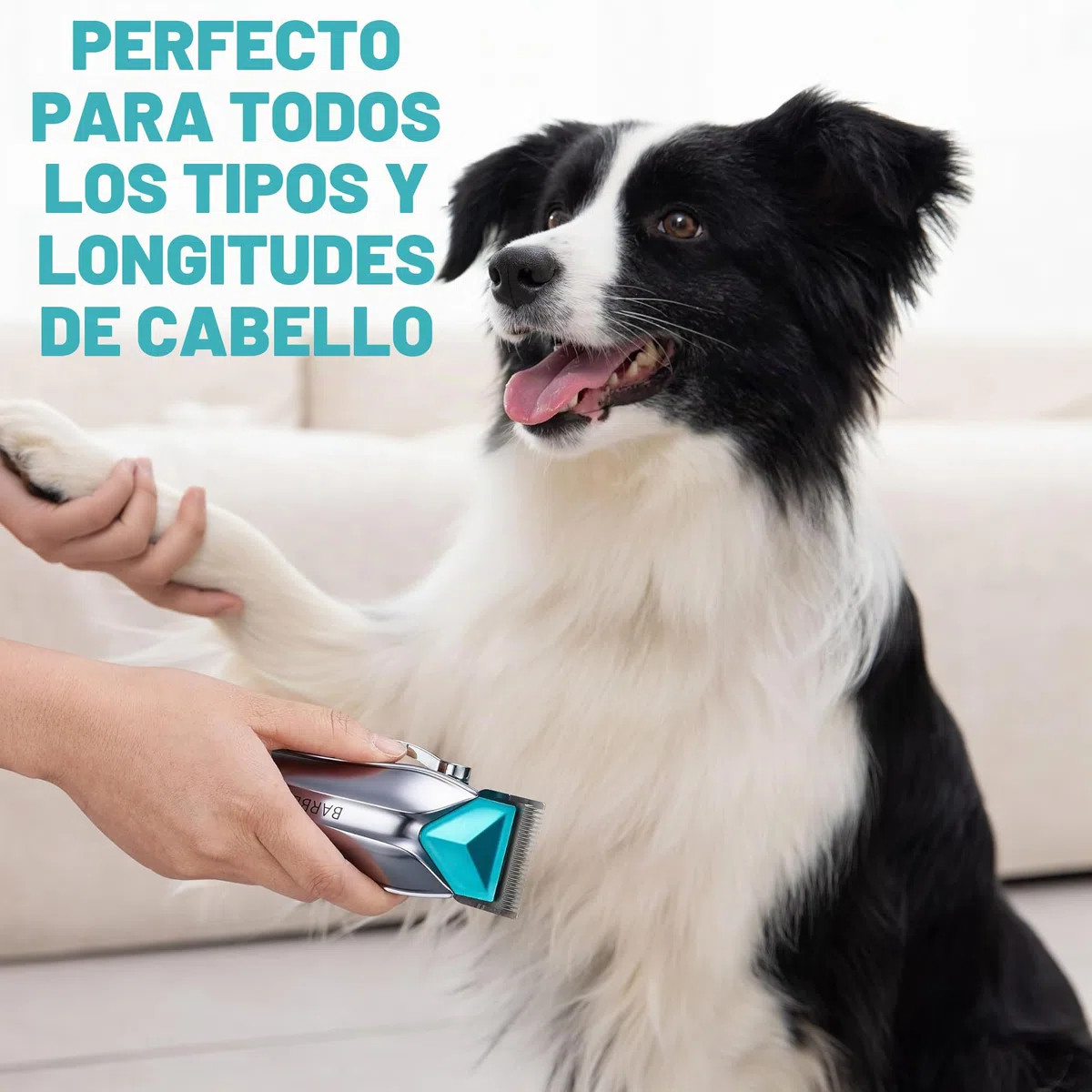 BarberBoss Cortapelos para perros inalámbricos, kit de cuidado para perros, cortapelos para gatos para pelo enmarañado, kit de cuidado para mascotas, cortapelos para mascotas QR-9088