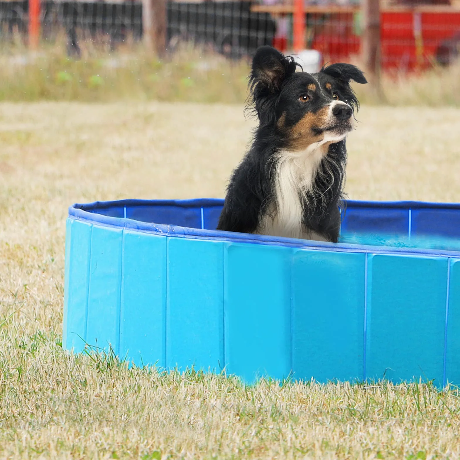 Jsdoin,Piscina plegable para perros, piscina portátil para niños, piscina de baño para mascotas, bañera para perros y gatos para jardín, patio y baño (80x20 cm)