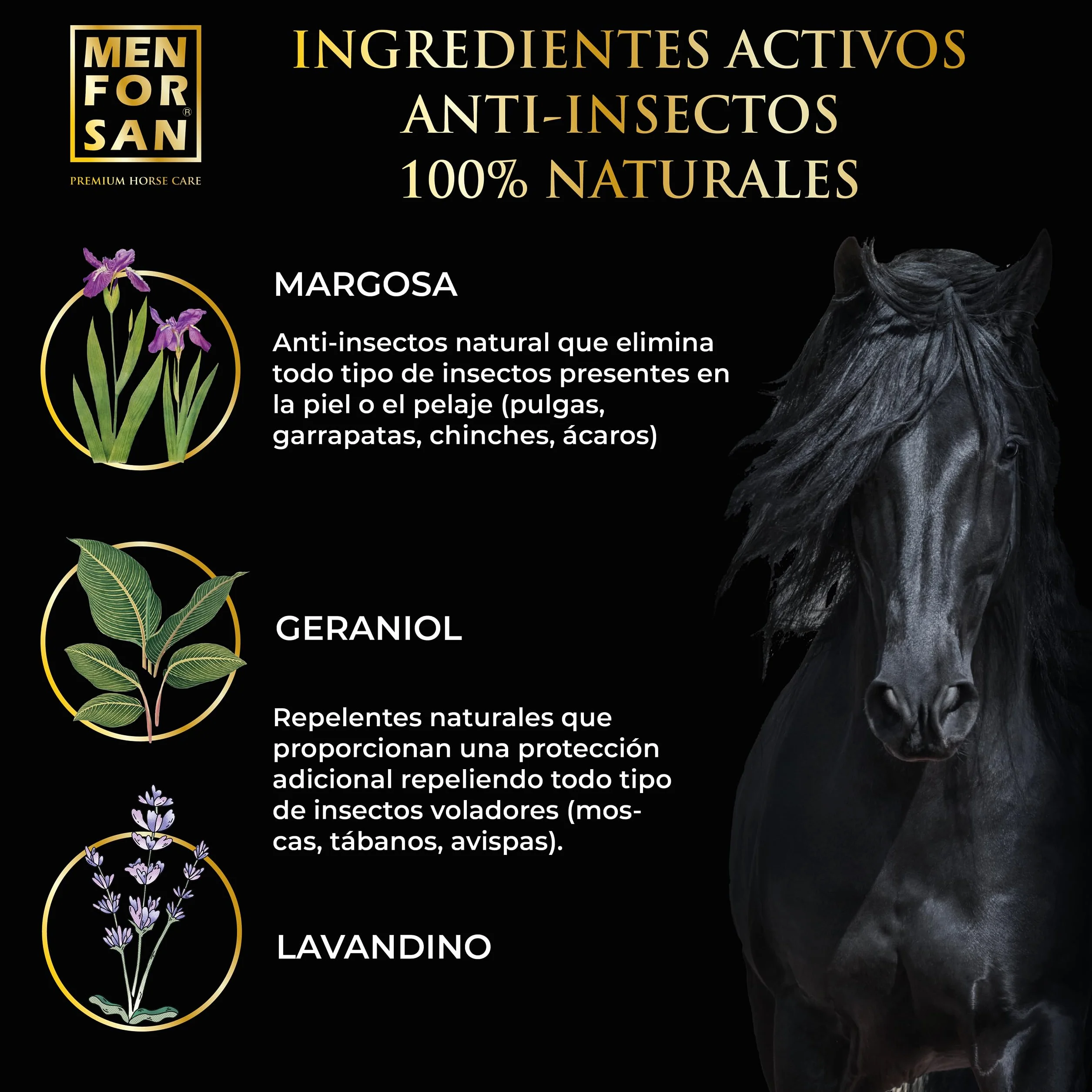 MENFORSAN Spray Anti-Insectos Repelente, 5L | con Margosa, geraniol y lavandino | Bio, 100% Natural | Premium Horse Care