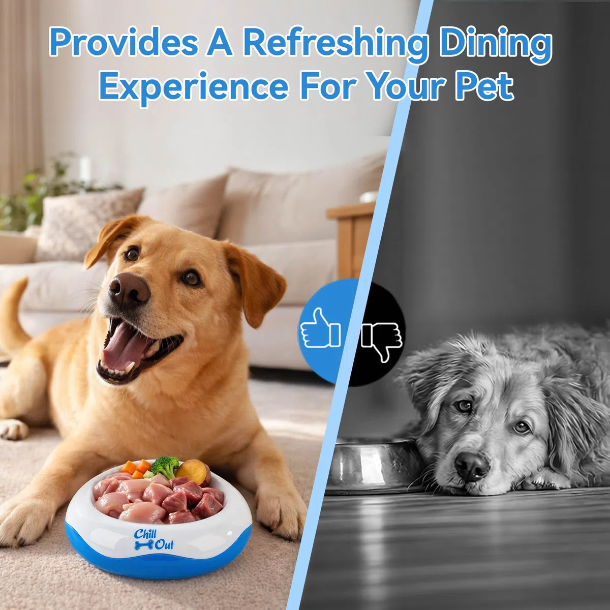 All For Paws Bebedero O Comedero Refrescante Chill out, 500 ml