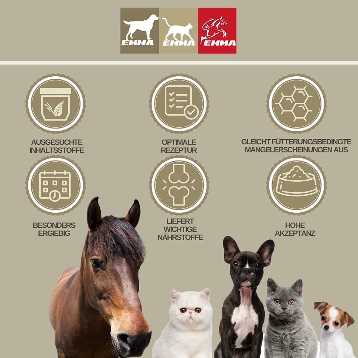 Pasta vitamínica para Caballos I Potenciador de energía Vitaminas B I Complejo vitamínico B12 Lisina Zinc I Minerales I Fortalece el Sistema inmunológico I Vitamina E Oligoelementos Oldie Mares 3pc.