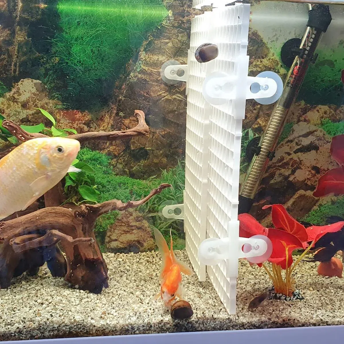 8 Pcs Divisor de Acuario Separador de Acuario Divisores de Pecera Separador de Tanque de Peces Rejilla de Plástico con 8PCS Clips de Ventosas para Mantener a Los Diferentes Peces de La Pelea